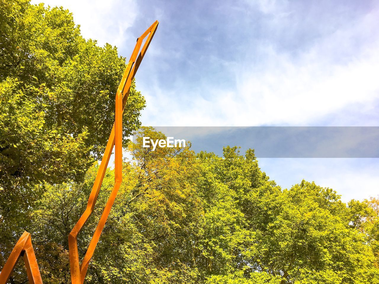 LOW ANGLE VIEW OF PLANTS AGAINST TREES