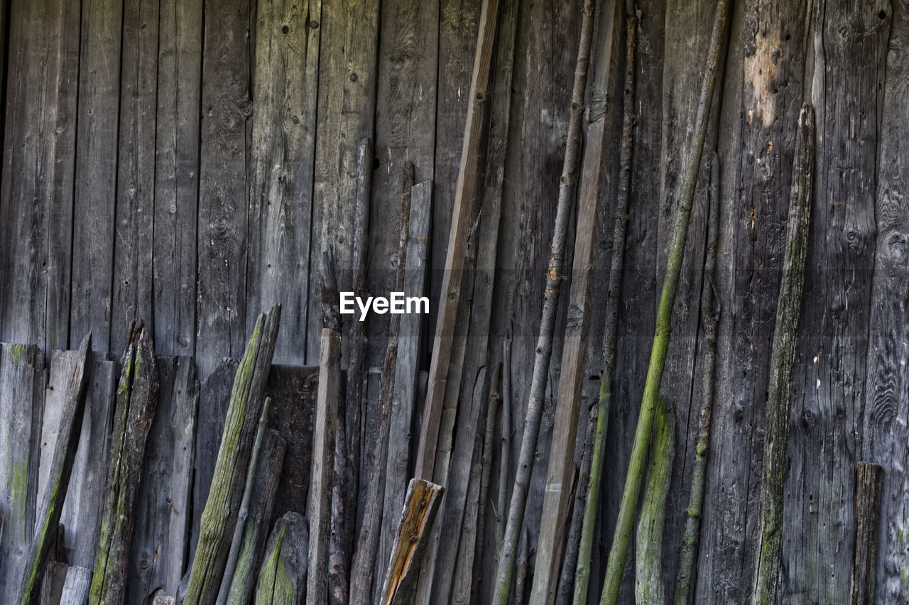 FULL FRAME SHOT OF TREE TRUNKS