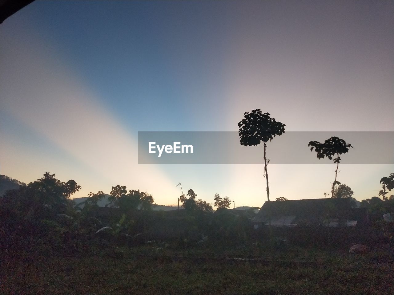 SILHOUETTE TREES ON FIELD AGAINST SKY