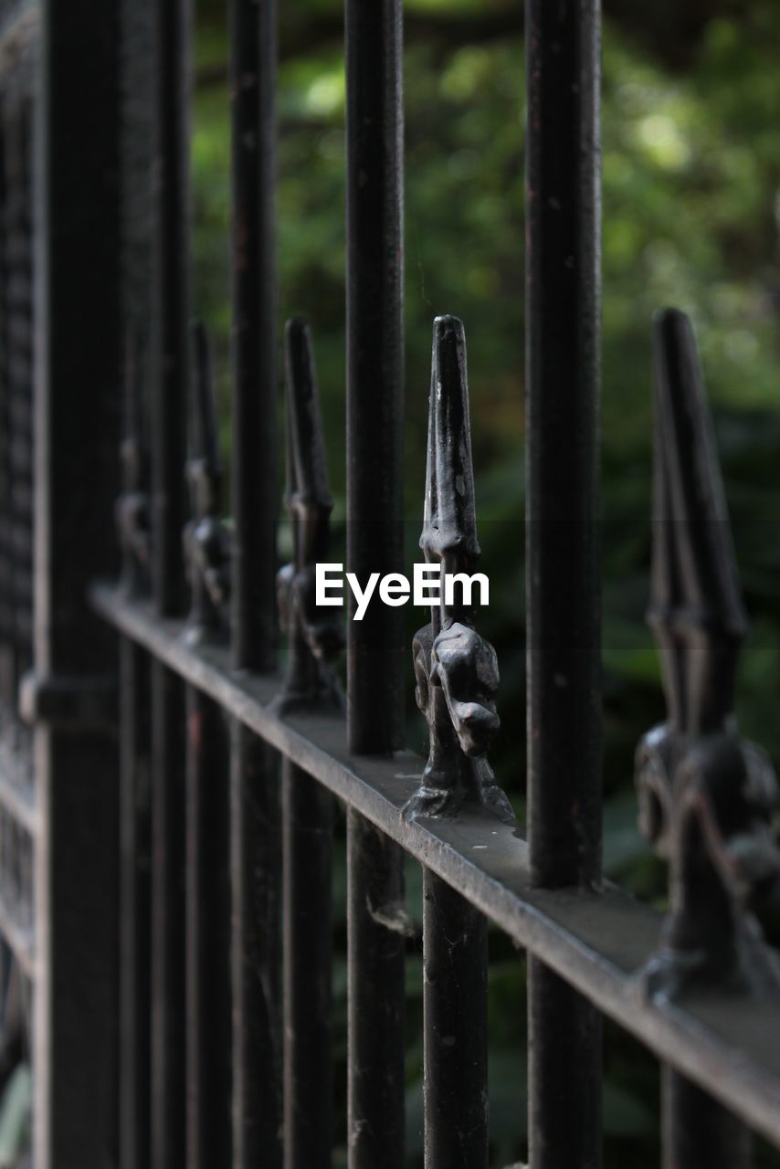 Close-up of metal fence in garden