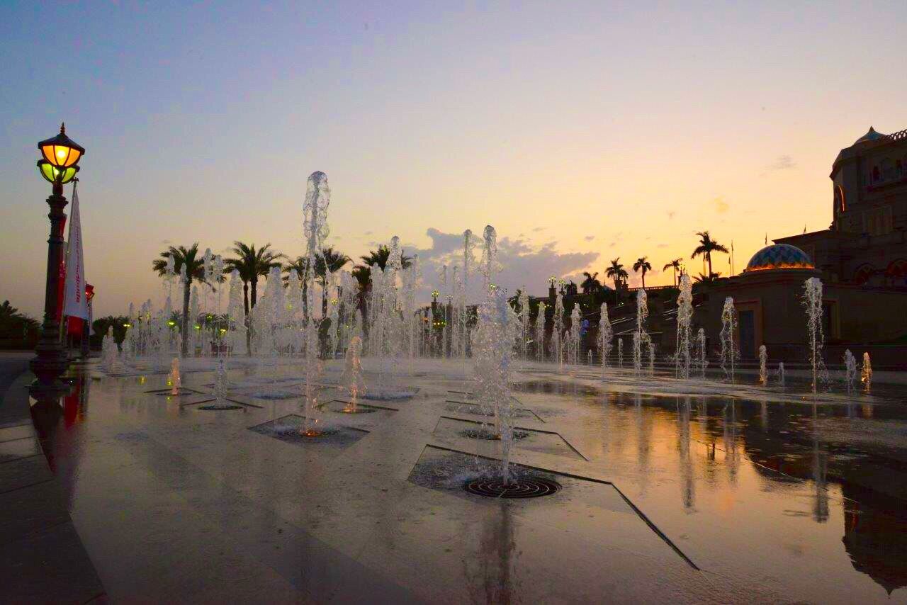 REFLECTION OF TREES IN WATER