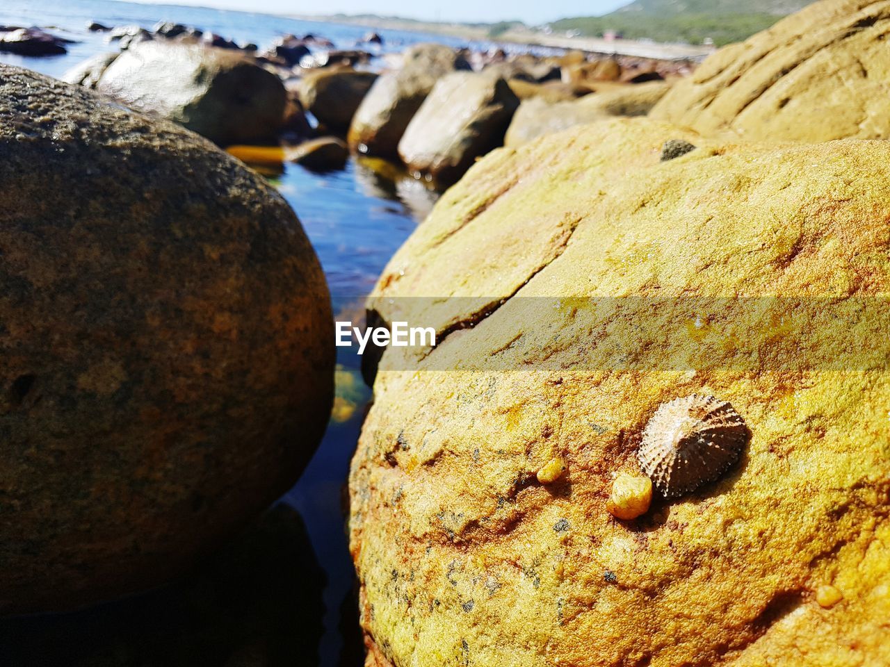 CLOSE-UP OF ROCKS AT BEACH