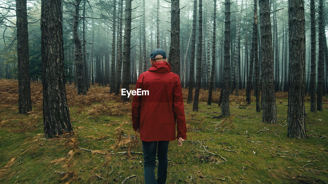 Old man with red jacket explore the misty forest in autumn season