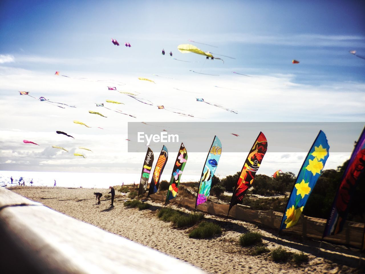 Kites flying over beach against sky on sunny day