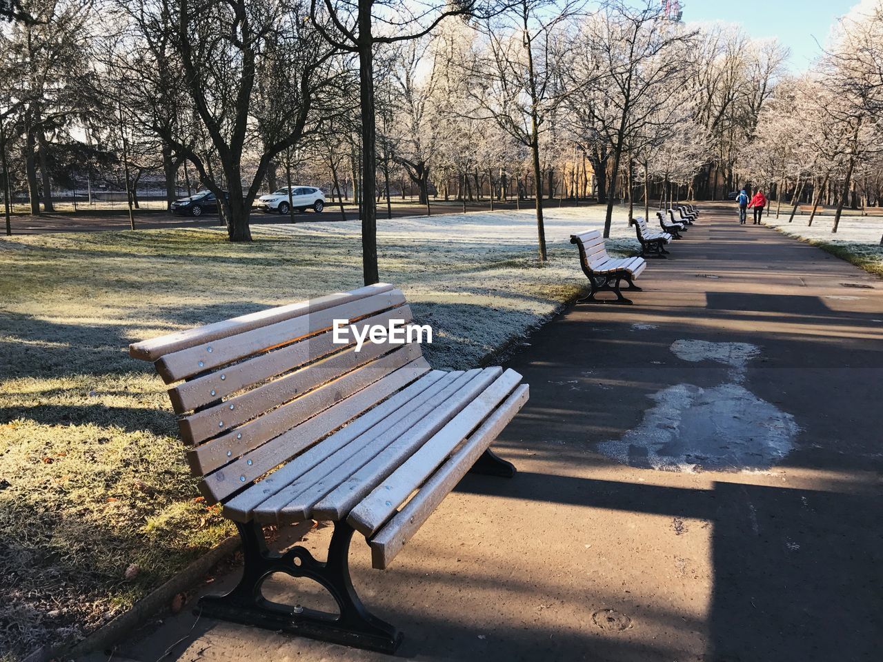 tree, bench, park, nature, seat, park bench, plant, shadow, bare tree, park - man made space, empty, sunlight, day, furniture, absence, no people, outdoors, winter, tranquility, footpath, sky, city, relaxation, water, beauty in nature, wood, tranquil scene