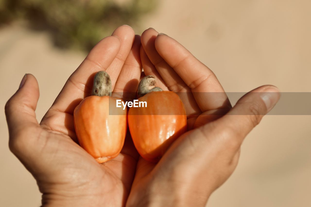 CLOSE-UP OF HAND HOLDING APPLE