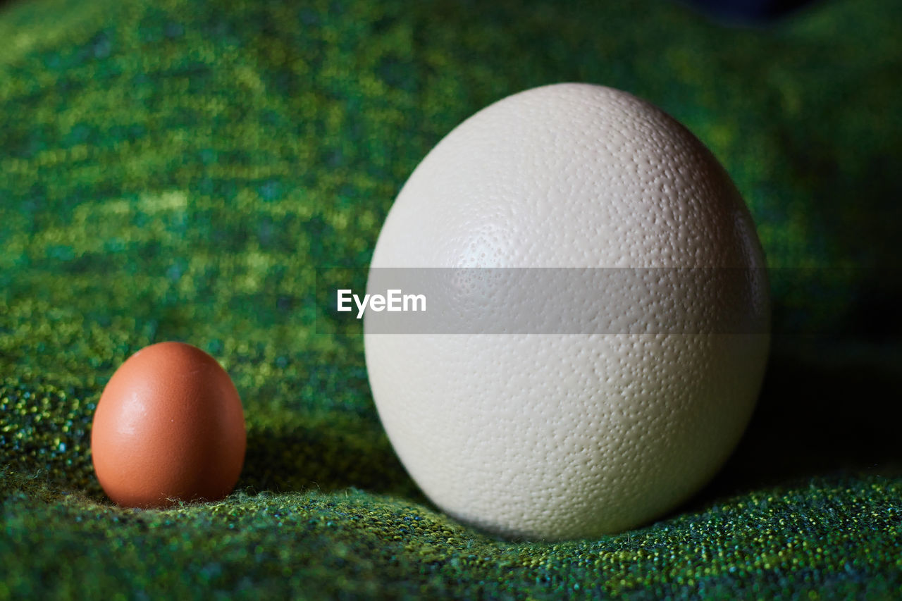 An ostrich egg next to a hen egg in comparison, on green background