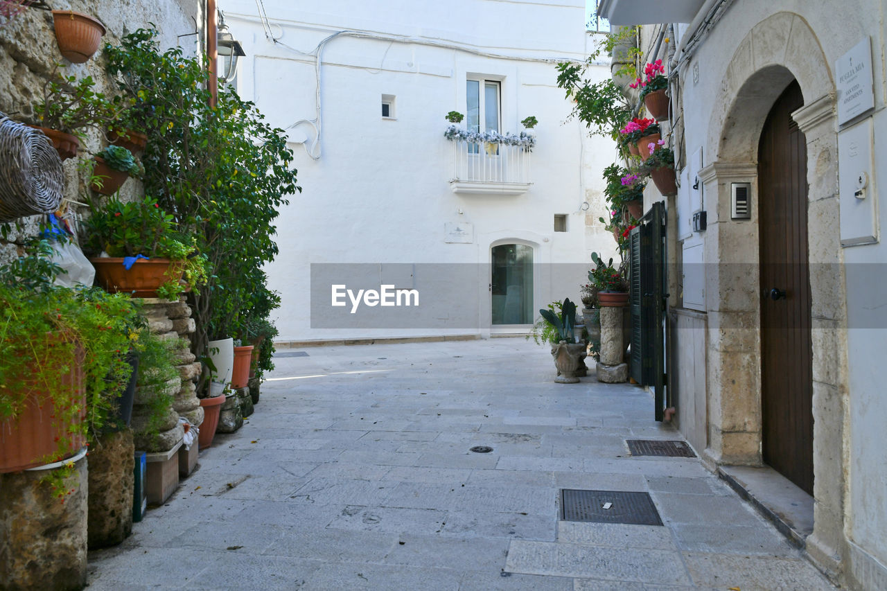 A street of monopoli, an old town in puglia, italy.