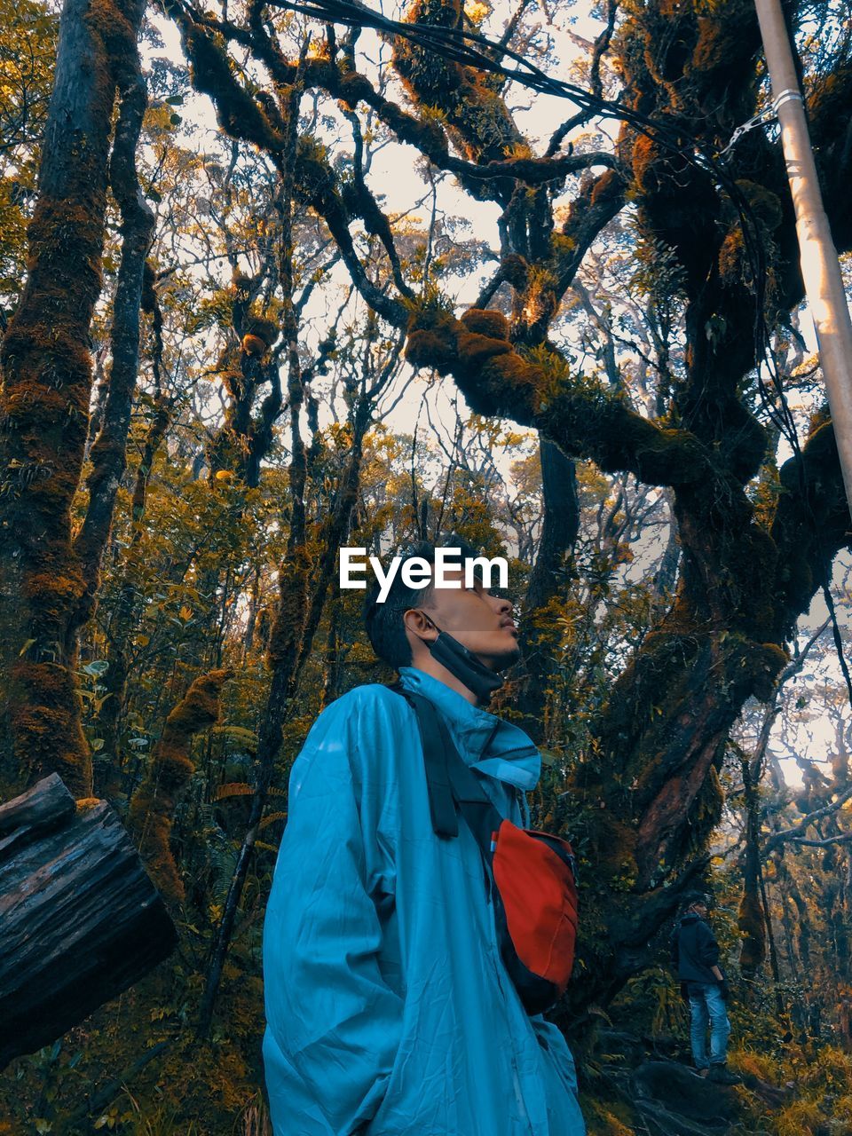 Man standing in forest during autumn