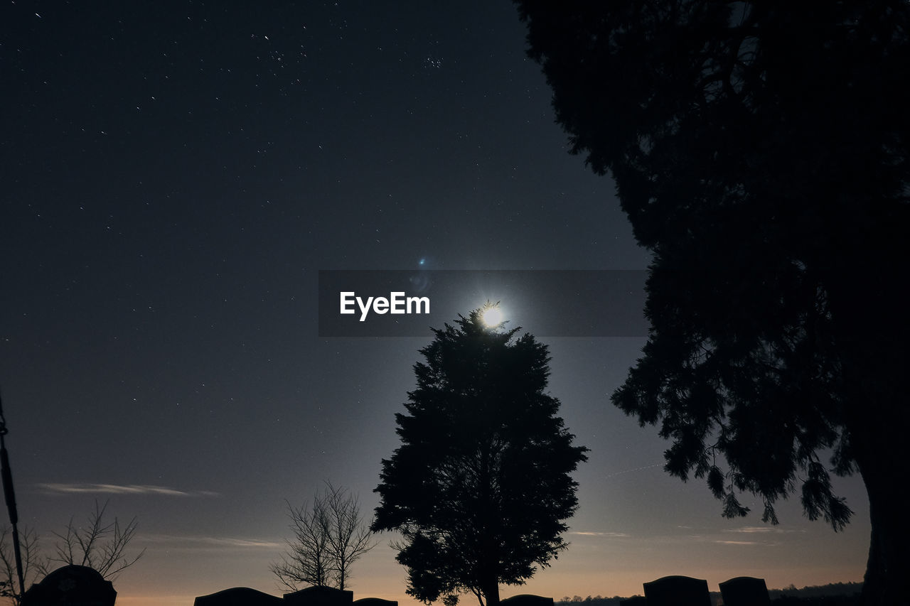 LOW ANGLE VIEW OF SILHOUETTE TREES AGAINST MOON AT NIGHT