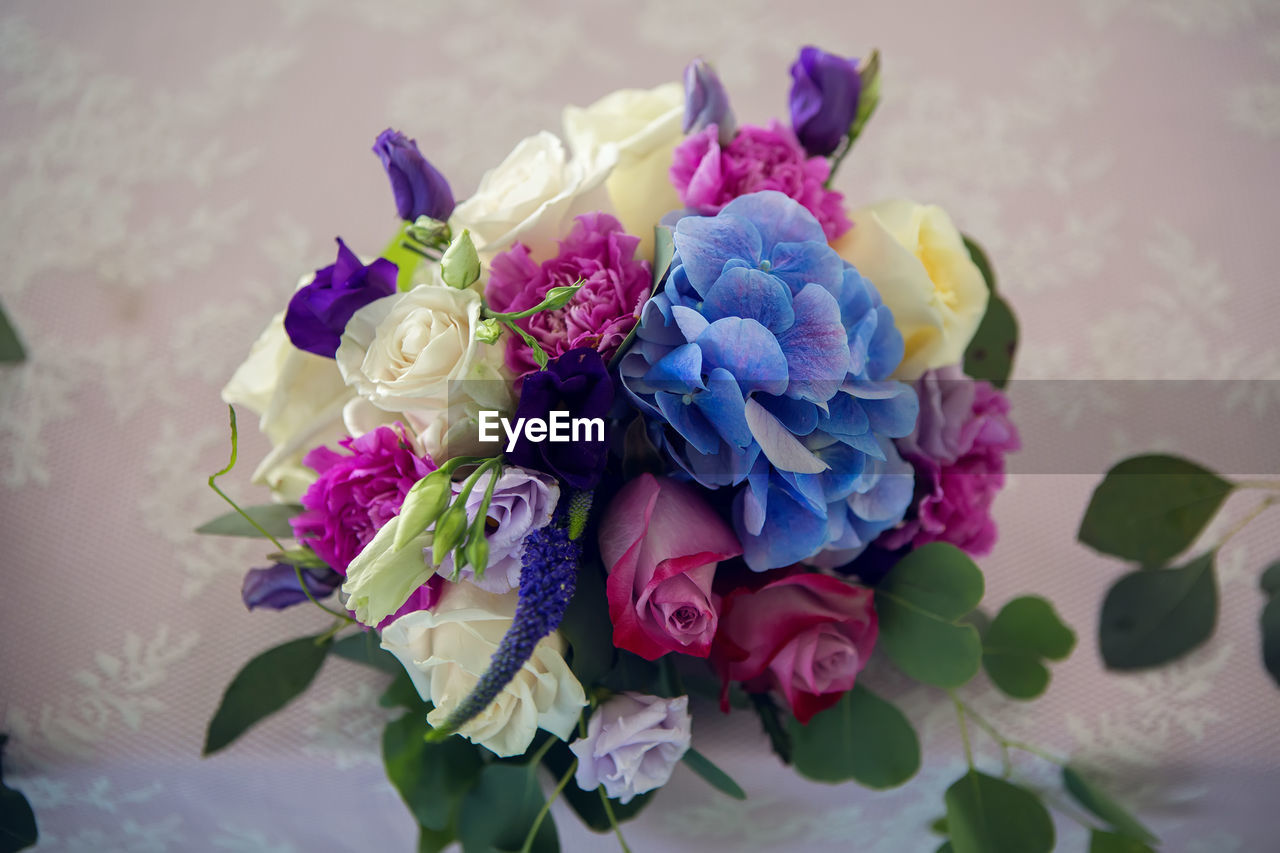 Close-up of pink roses