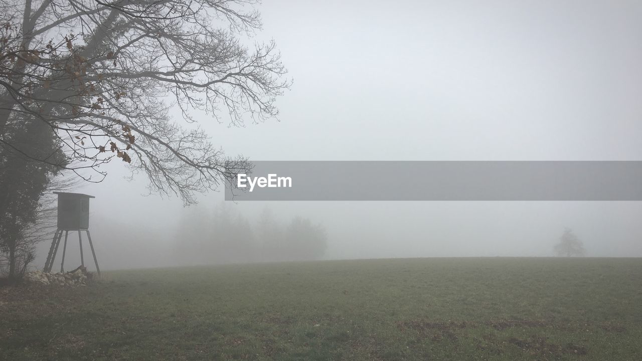 SCENIC VIEW OF FIELD IN FOGGY WEATHER