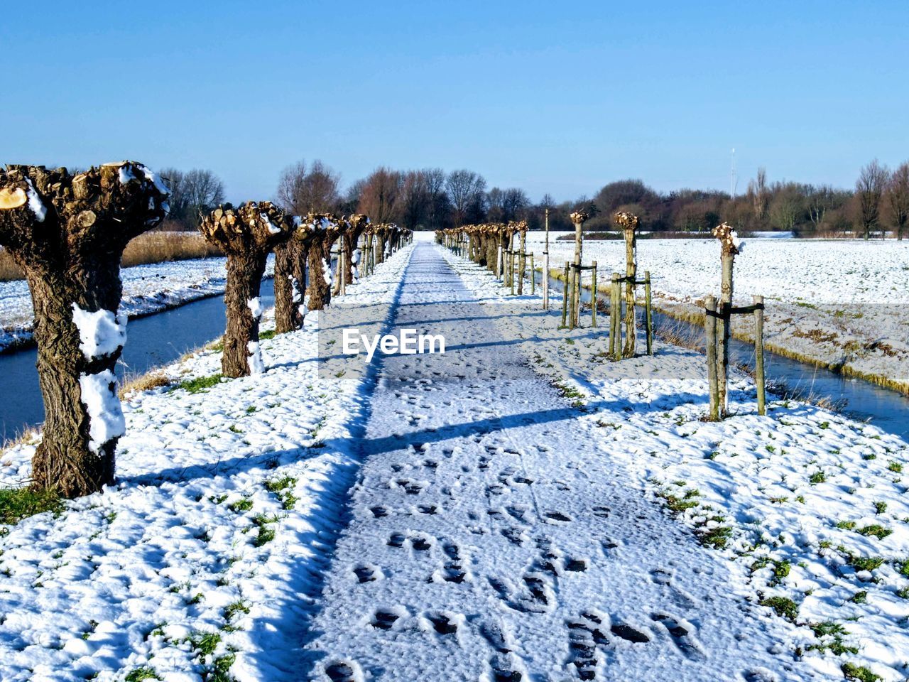 Snow covered field and walkway against sky