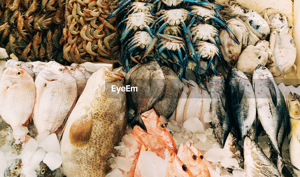 Full frame shot of seafood for sale