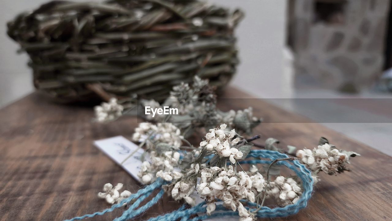 wood, table, jewellery, indoors, no people, jewelry, wealth, still life, close-up, large group of objects, plant, selective focus, fashion accessory, silver