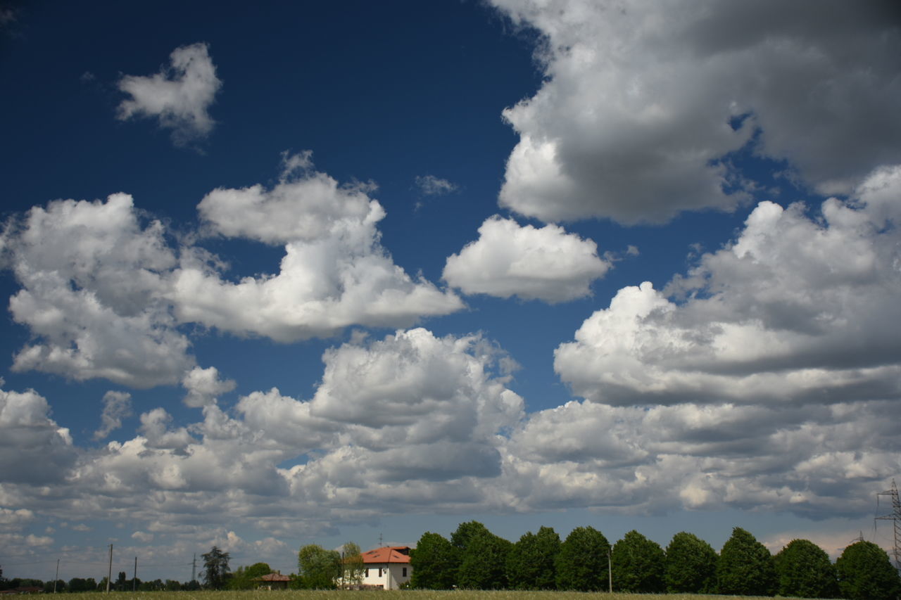 Trees on field against cloudy sky