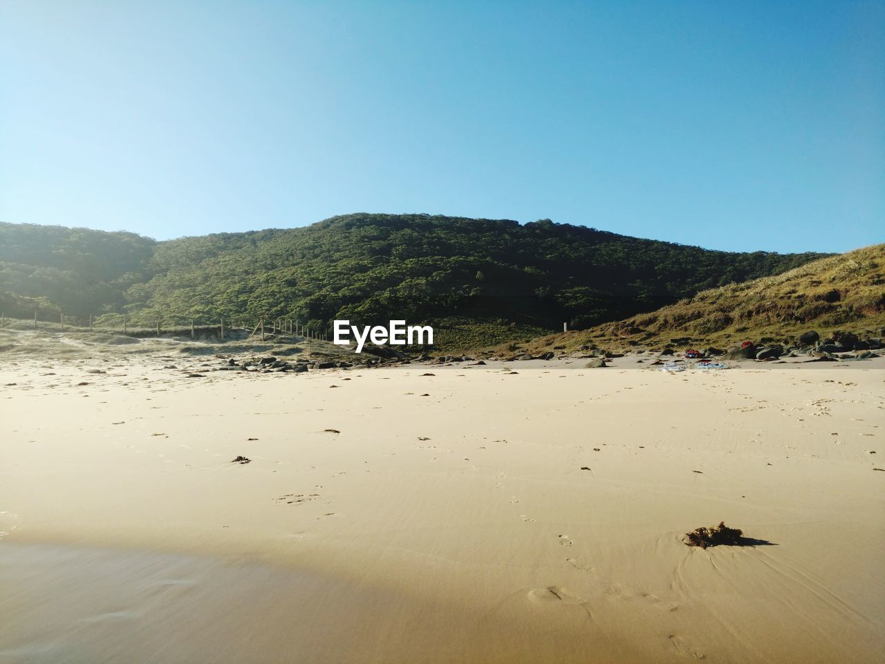 SCENIC VIEW OF SAND DUNES AGAINST CLEAR SKY