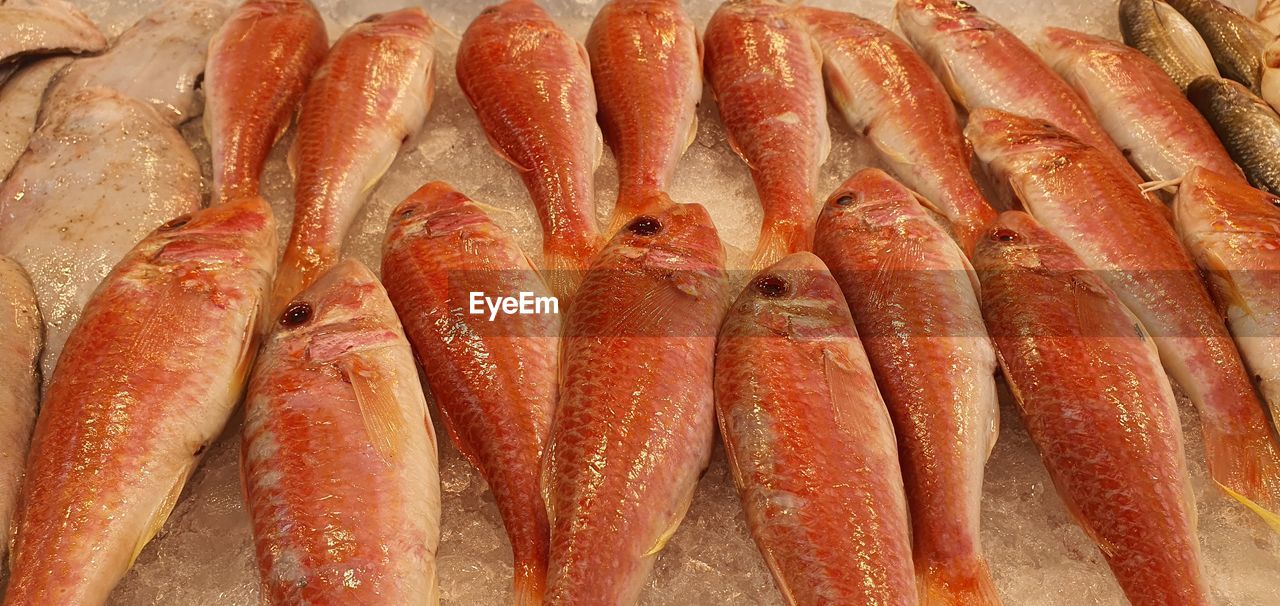 food and drink, food, freshness, seafood, fish, healthy eating, wellbeing, raw food, no people, for sale, retail, market, animal, high angle view, close-up, still life, fish market, indoors, large group of objects, cold temperature, ice, abundance, in a row