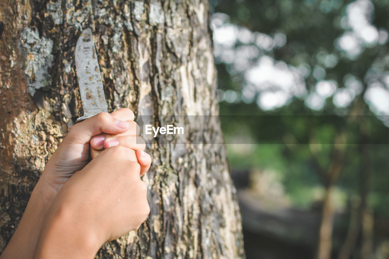 Cropped hands holding knife by tree trunk