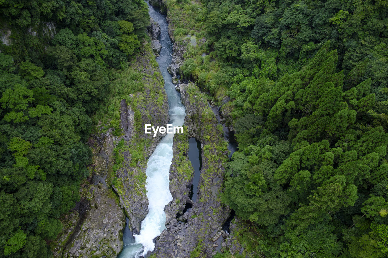 SCENIC VIEW OF WATERFALL