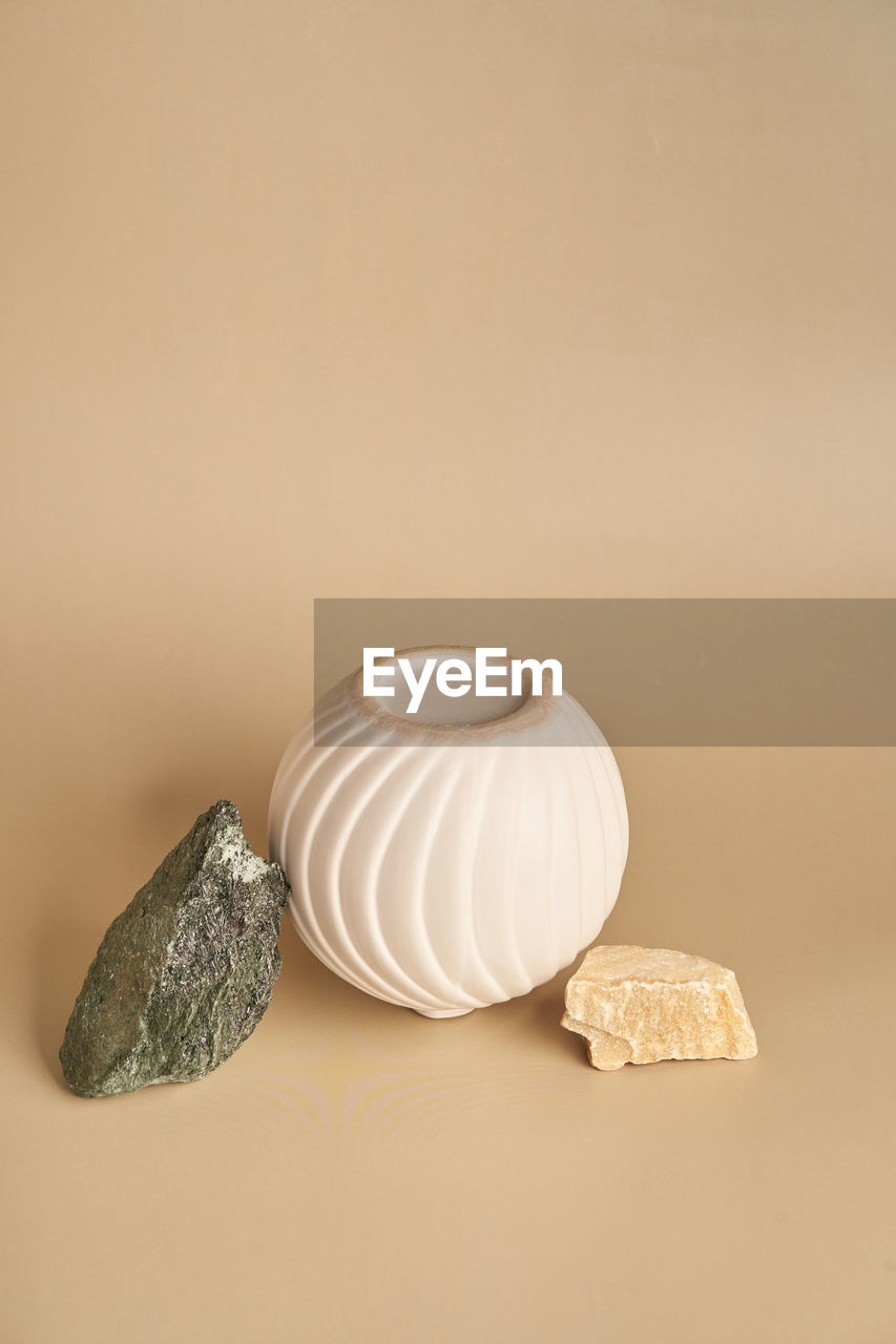 high angle view of seashells on table