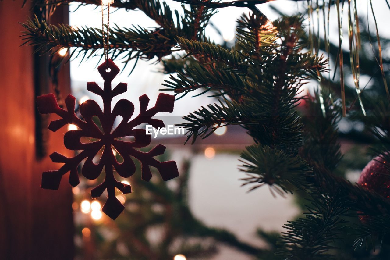 CLOSE-UP OF CHRISTMAS TREE HANGING ON BRANCH