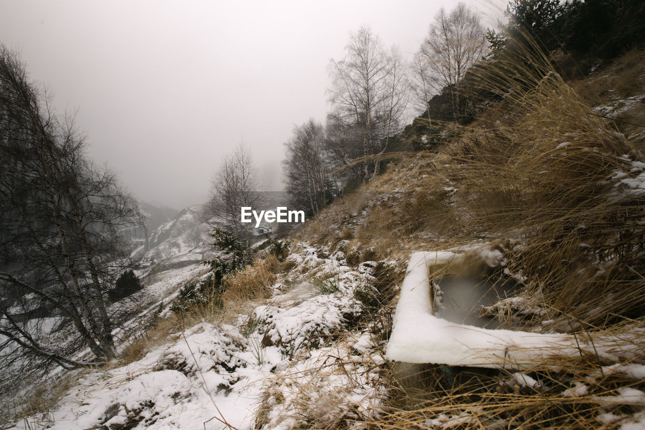 SNOW COVERED LAND AGAINST TREES