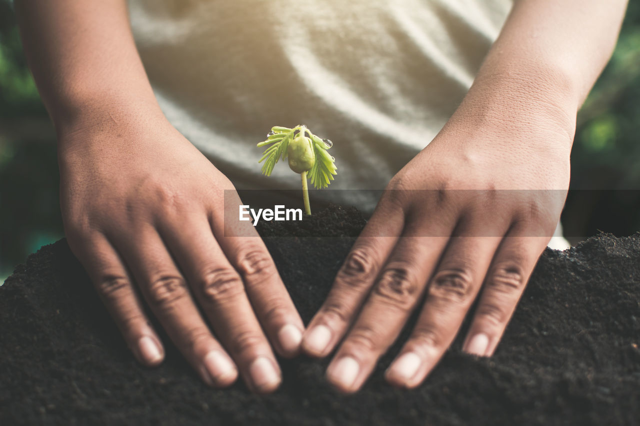 Midsection of woman protecting bud in soil