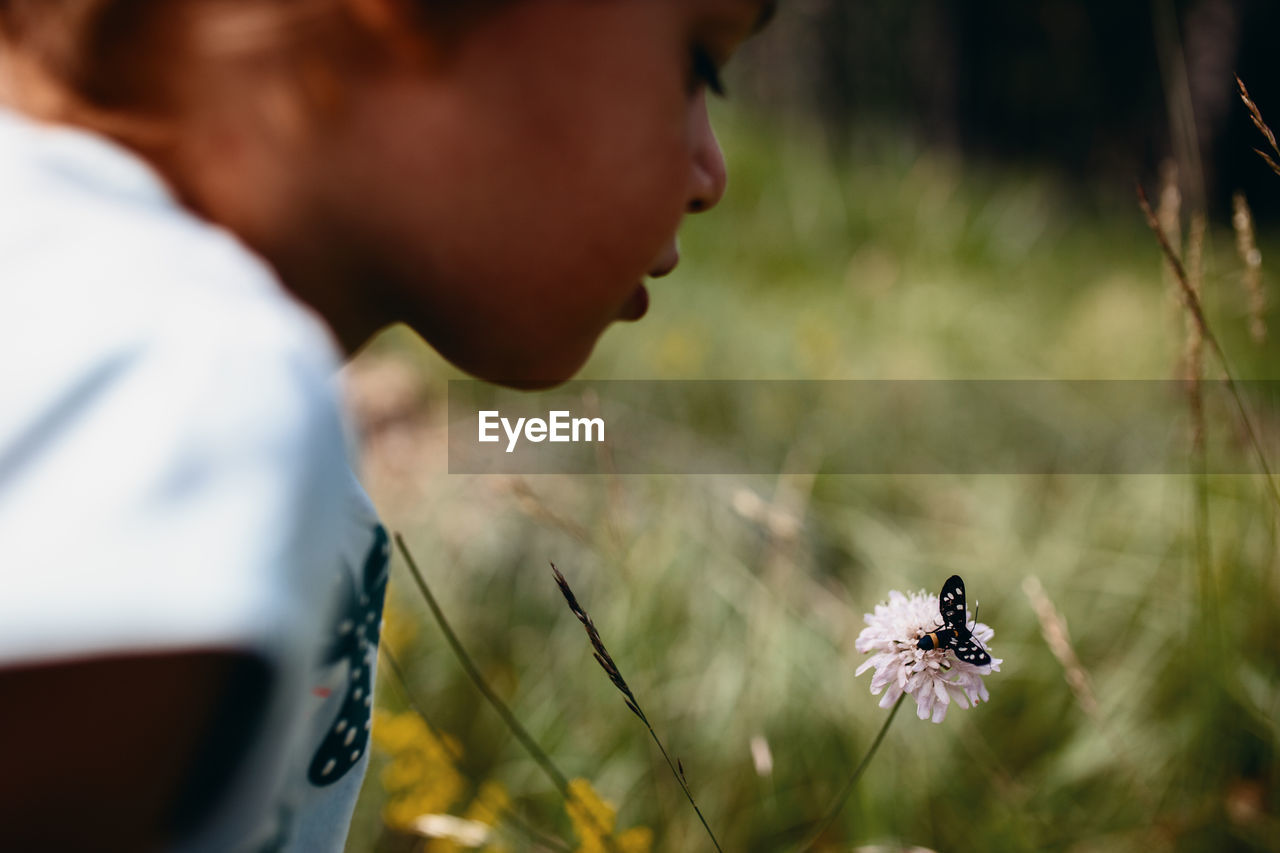 Child looking a butterfly on a flower. peaceful nature moment.