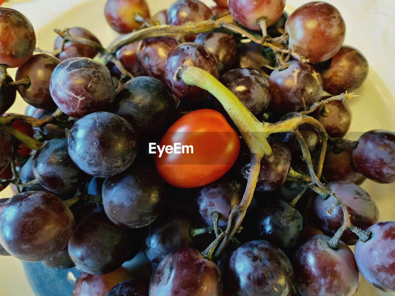 CLOSE-UP OF FRUITS IN CONTAINER