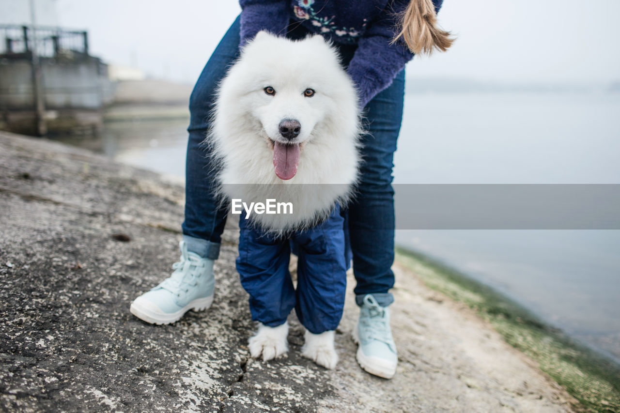 PORTRAIT OF DOG STANDING AGAINST WATER