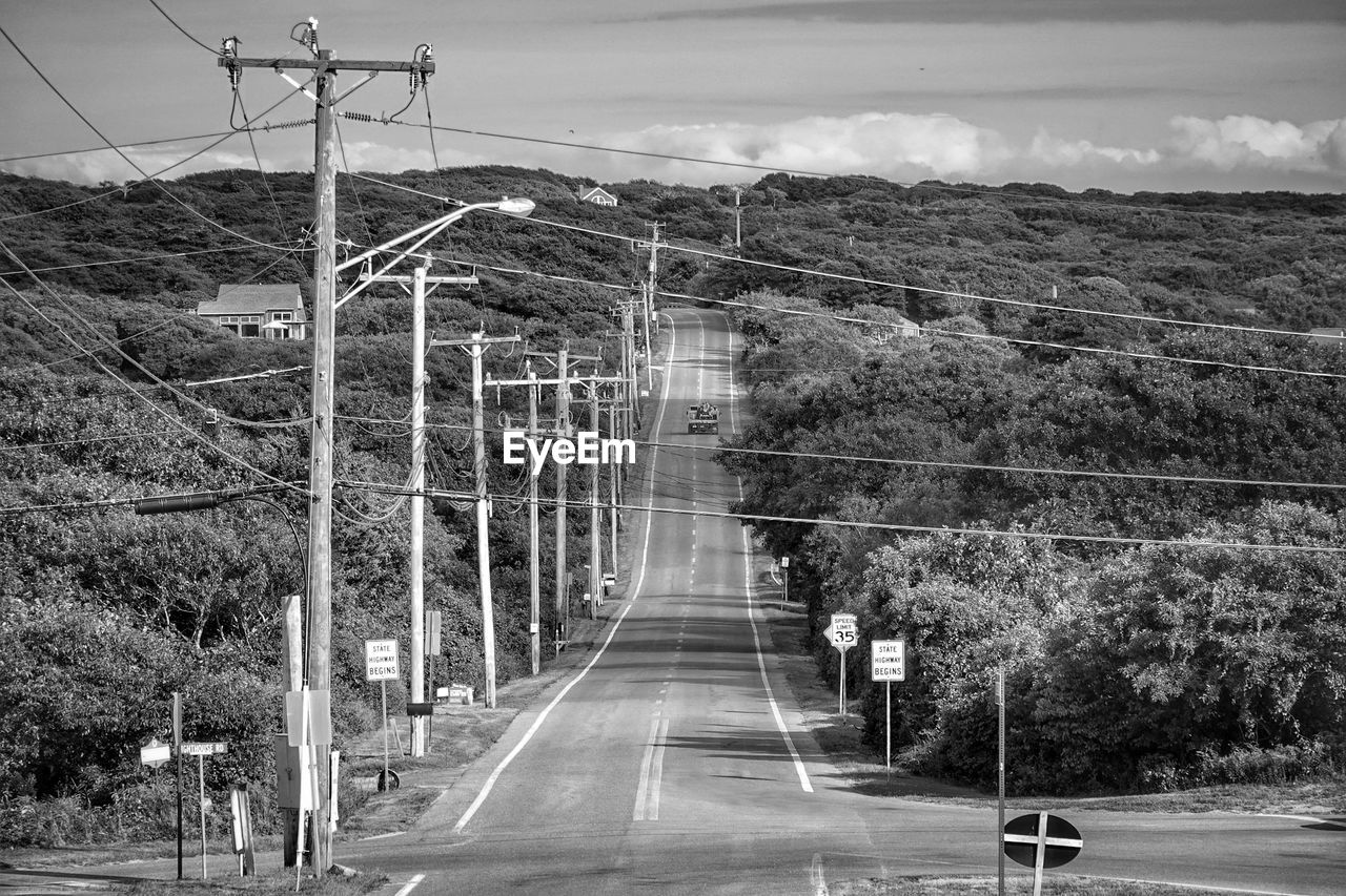 ROAD AMIDST TREES AND PLANTS AGAINST SKY