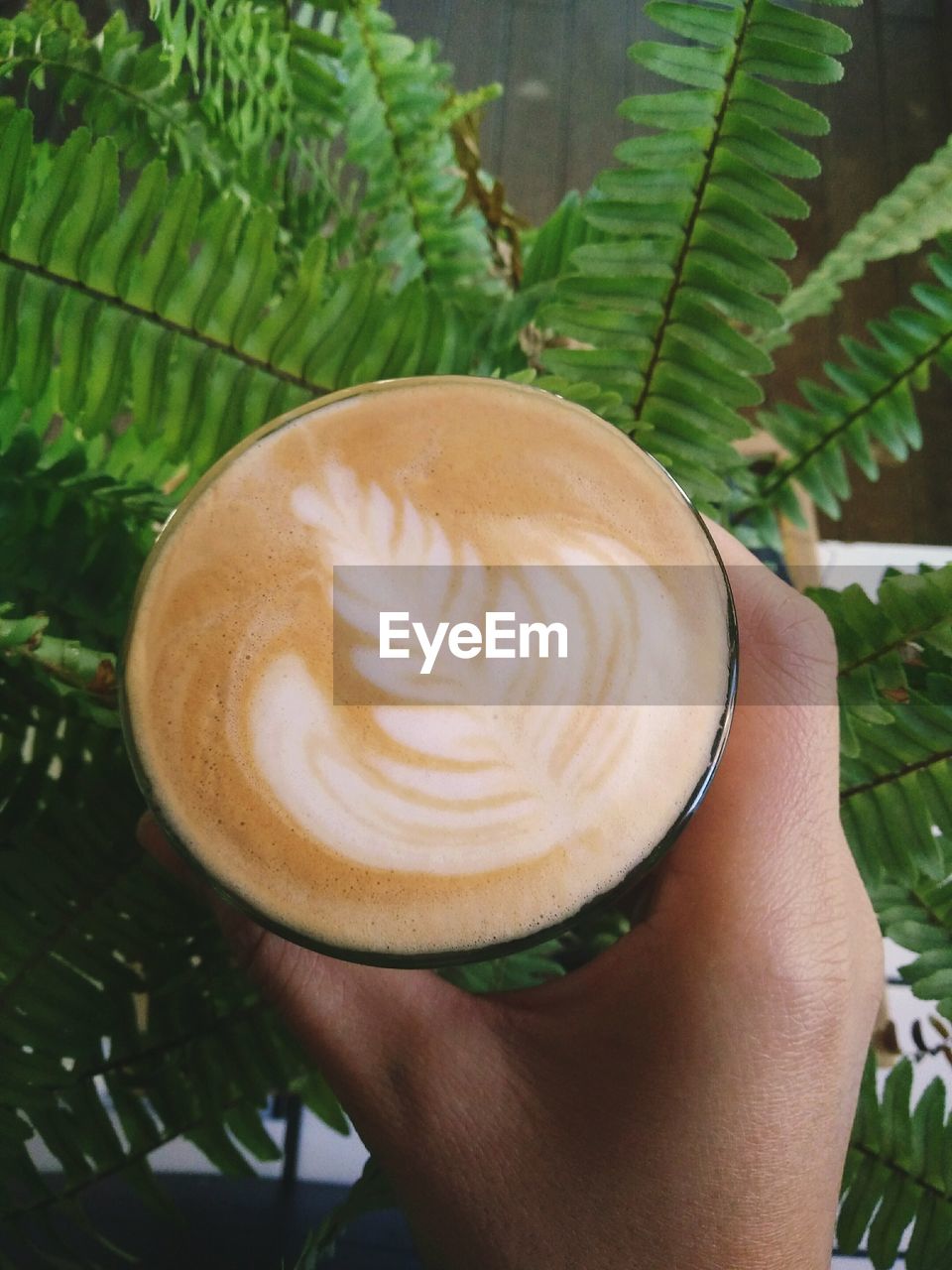 CLOSE-UP OF HAND HOLDING COFFEE CUP WITH TREE