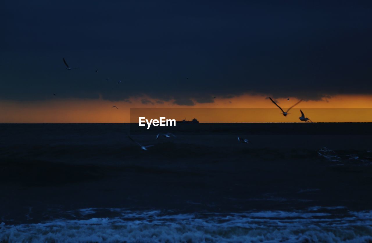 SILHOUETTE BIRDS FLYING OVER SEA DURING SUNSET