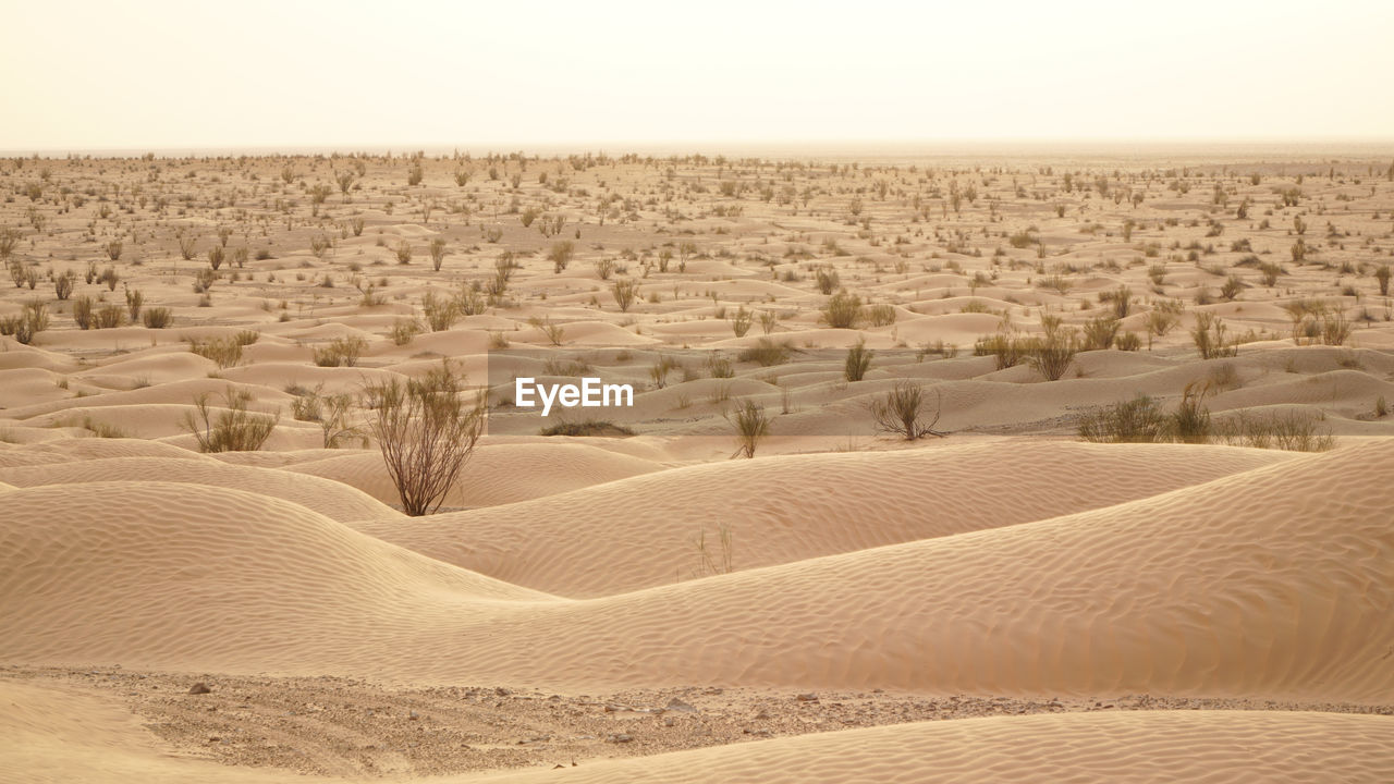 scenic view of desert against sky