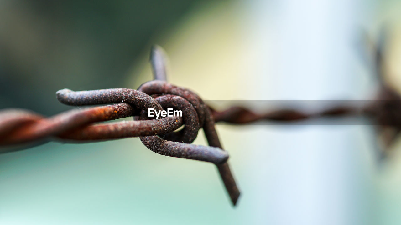 Close-up of barbed wire