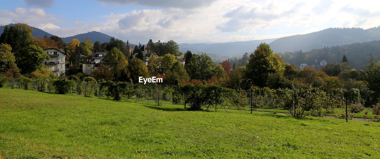 SCENIC VIEW OF FIELD BY TREES AGAINST SKY