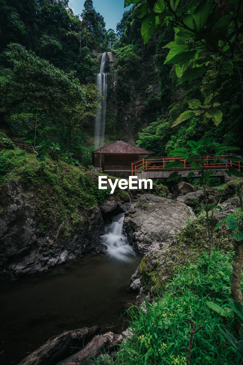 Scenic view of waterfall against trees in forest