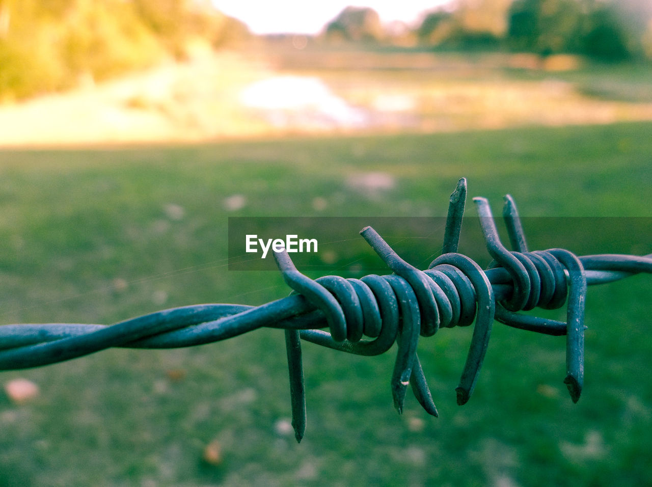 Close-up of barbed wire fence against grassy field