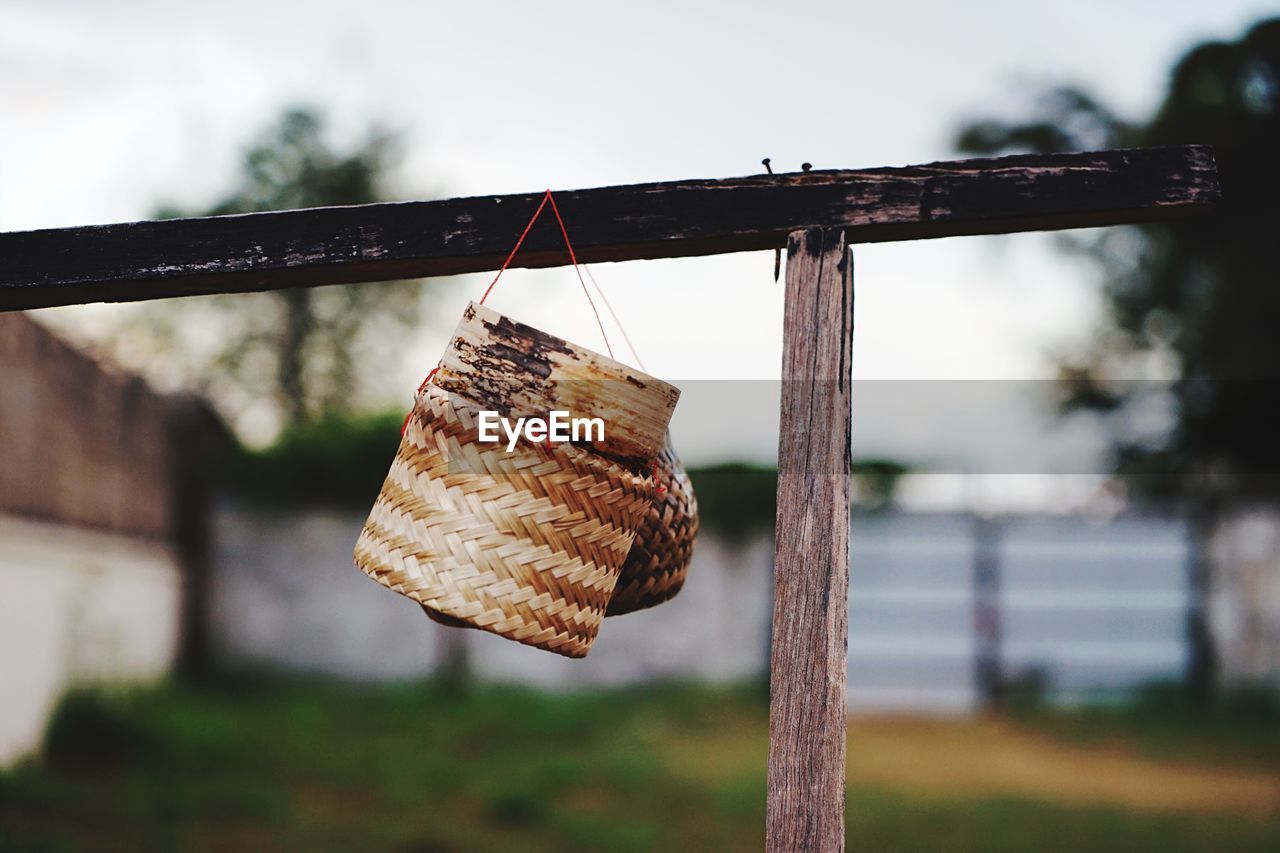 CLOSE-UP OF CLOTHES HANGING ON ROPE AGAINST TREES