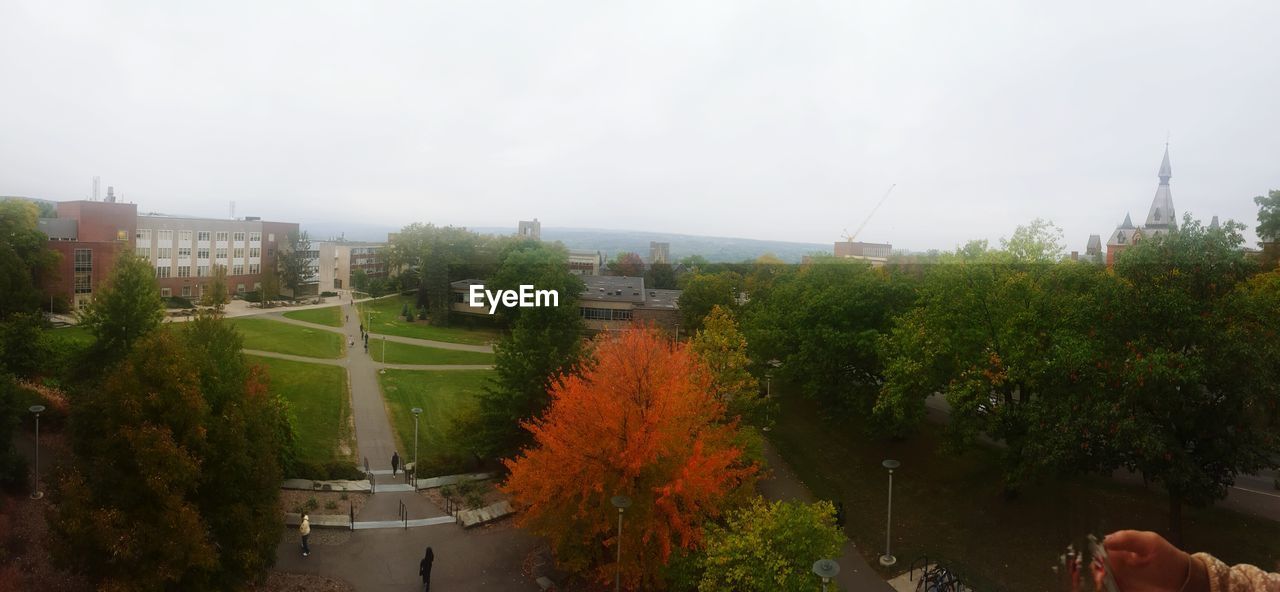 TREES IN PARK