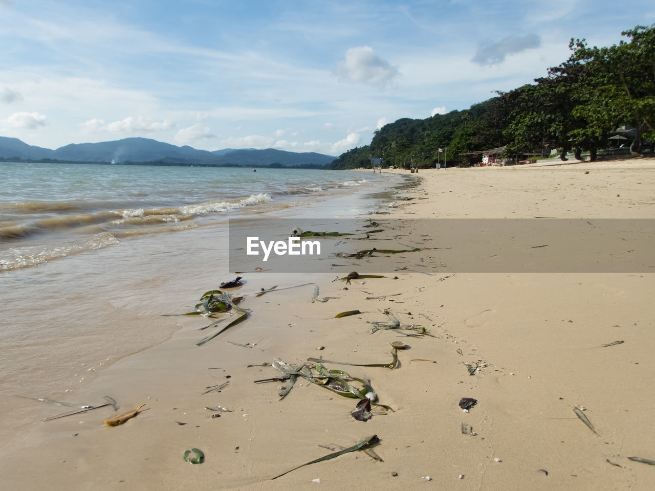 SCENIC VIEW OF BEACH AGAINST CLOUDY SKY