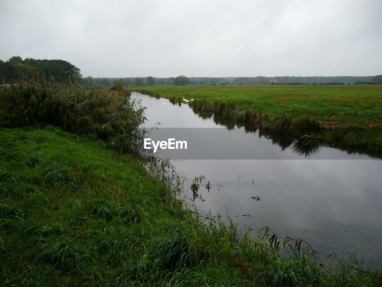 SCENIC VIEW OF LAKE AND GRASS AGAINST SKY