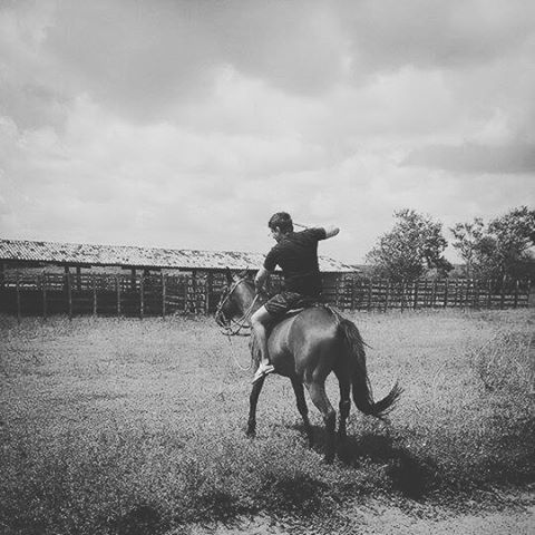 HORSE STANDING AGAINST CLOUDY SKY