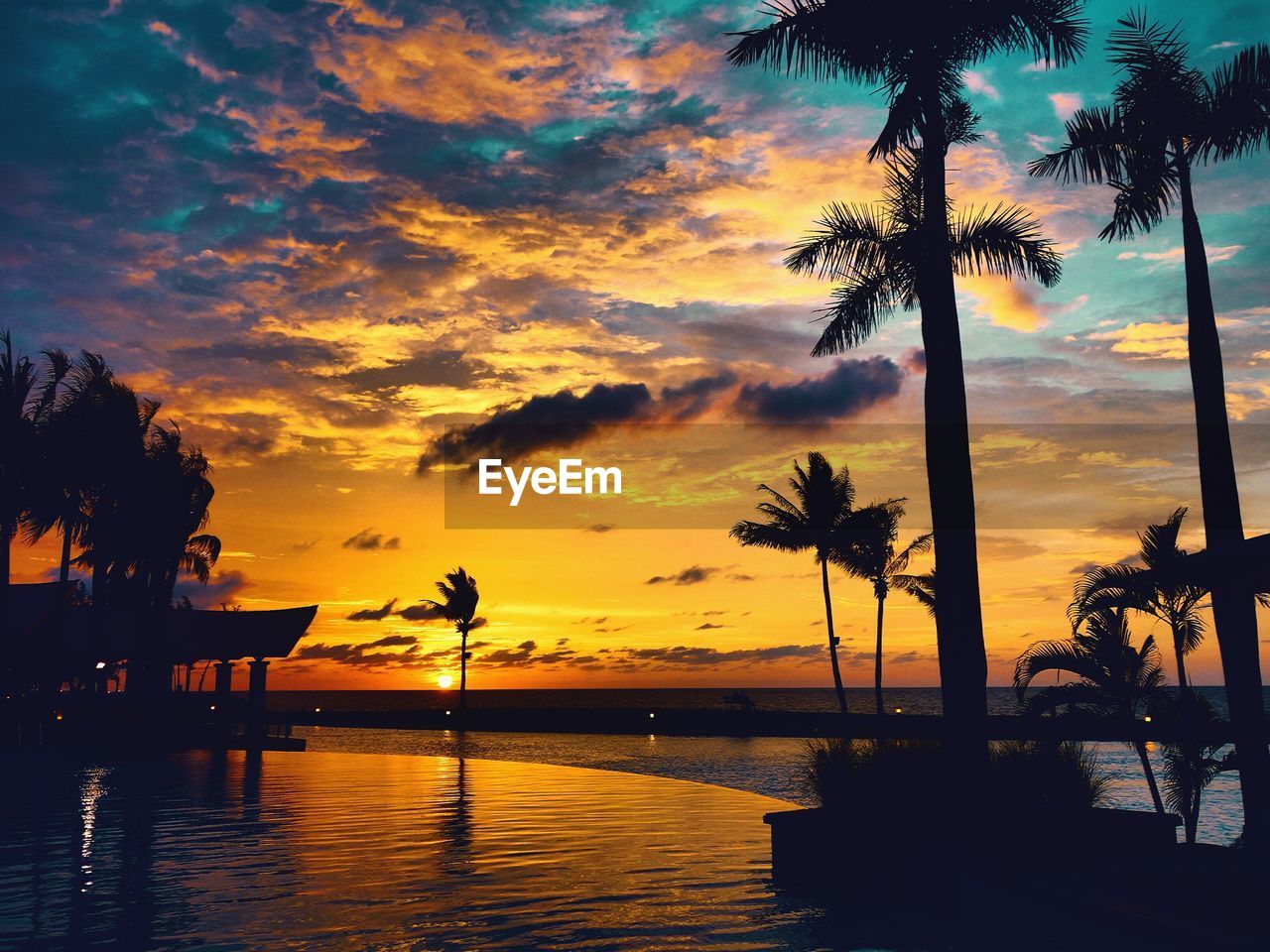 SILHOUETTE PALM TREE BY SWIMMING POOL AGAINST SKY DURING SUNSET