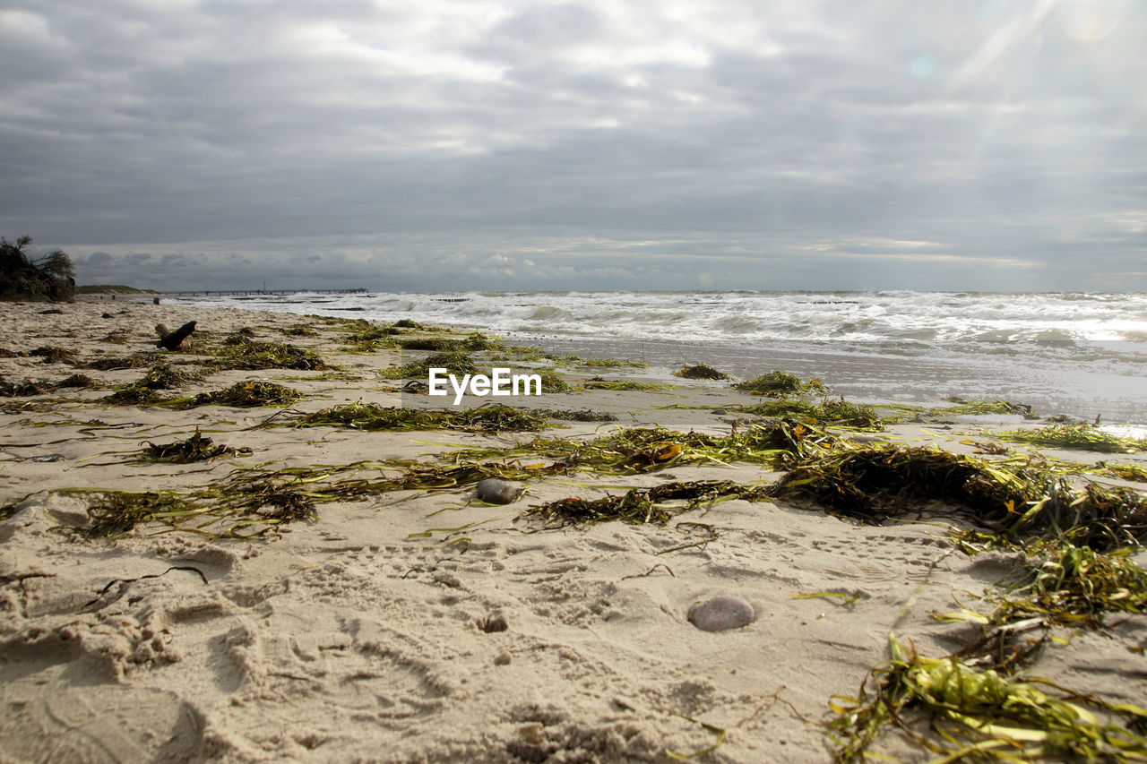 Scenic view of beach against sky