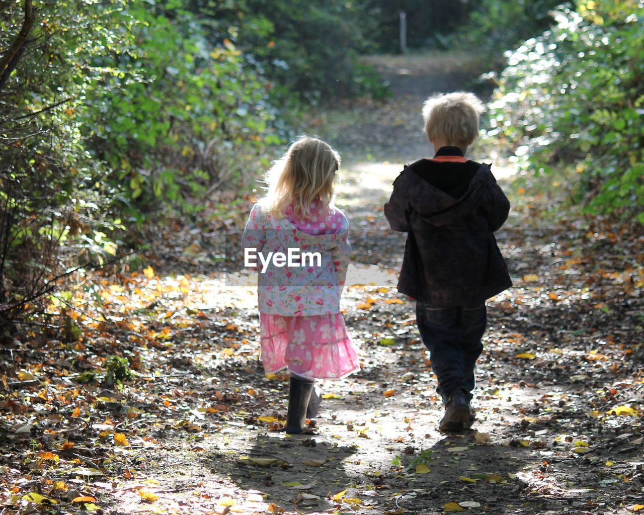 Rear view of siblings walking amidst forest