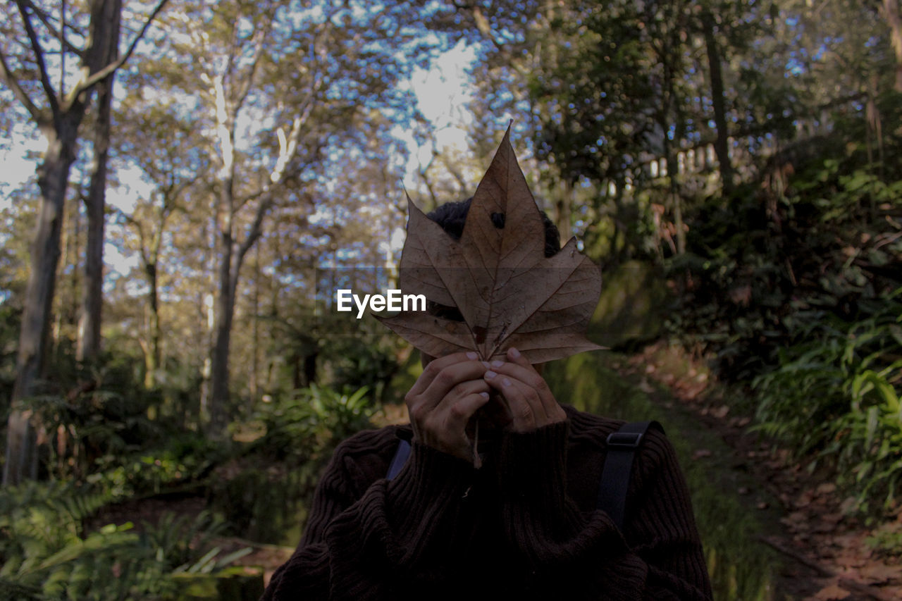 Person with face covered by leaf standing at forest