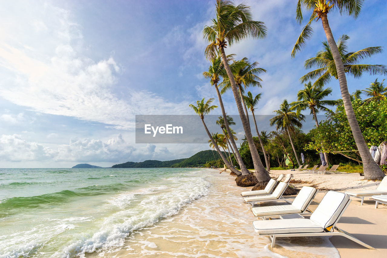 Palm trees and sun beds on tropical beach 