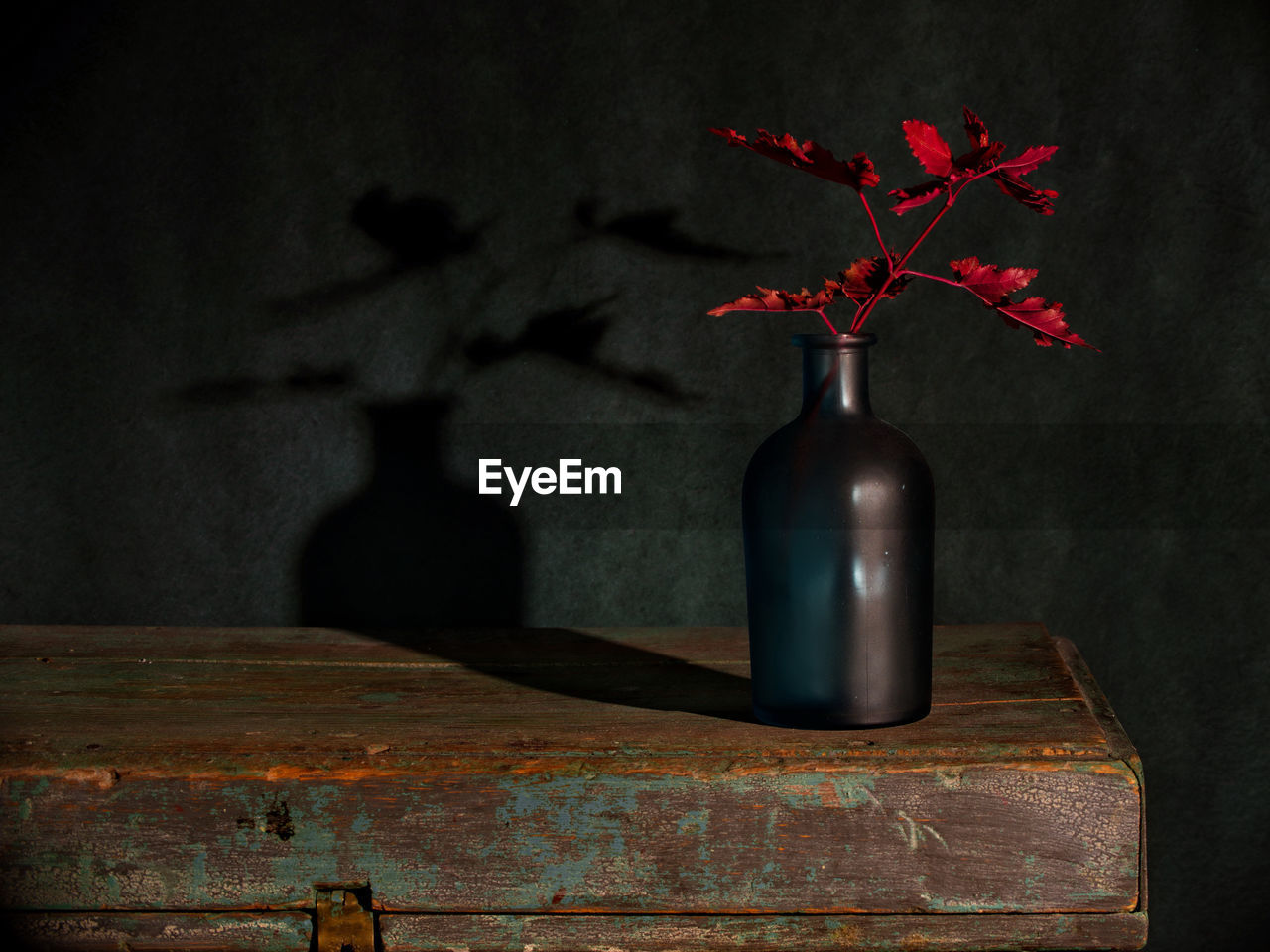 CLOSE-UP OF RED ROSE IN VASE ON TABLE